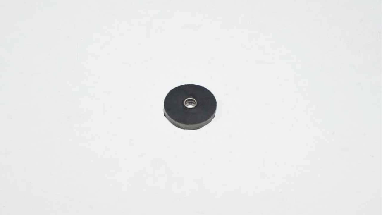 SEHPA TAKOZU ( BEAUTY )